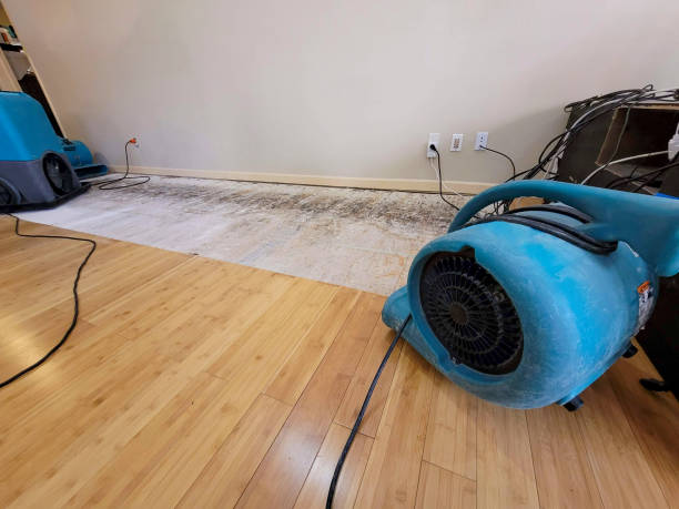 Professional Basement Flood Cleanup technician working in Marne, MI